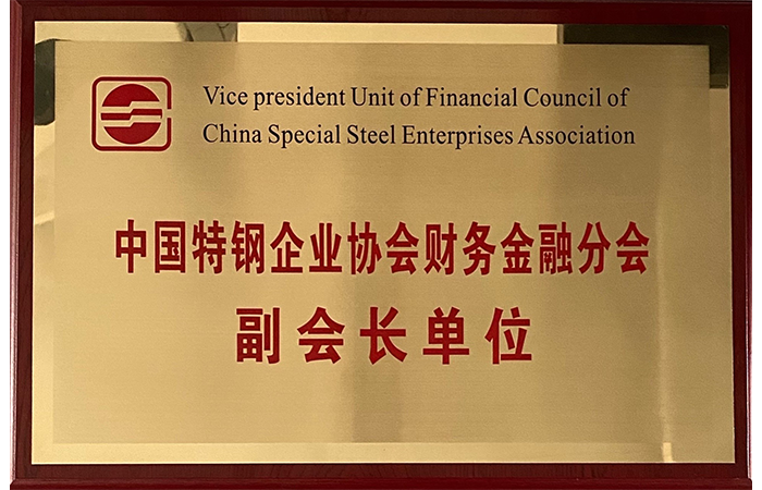 Vicepresidente de la Unidad de Finanzas y Sucursal de Finanzas de la Asociación de Empresas de Acero Especial de China